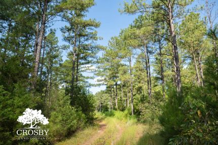 Farm and Ranch for sale in McCormick County, South Carolina