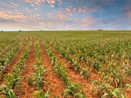 Horse Property for sale in Hockley County, Texas