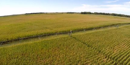 Farm and Ranch for sale in Rock County, Nebraska