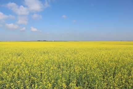 Farm and Ranch for sale in Ward County, North Dakota