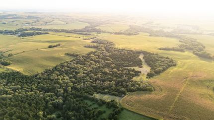 Timberland Property for sale in Nance County, Nebraska