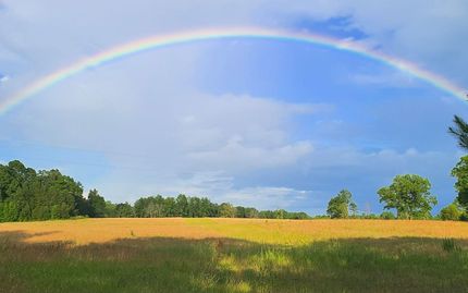 Land for sale in Chambers County, Alabama
