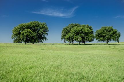 Farm and Ranch for sale in Clay County, Texas
