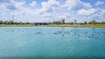 Land for sale in Galveston County, Texas