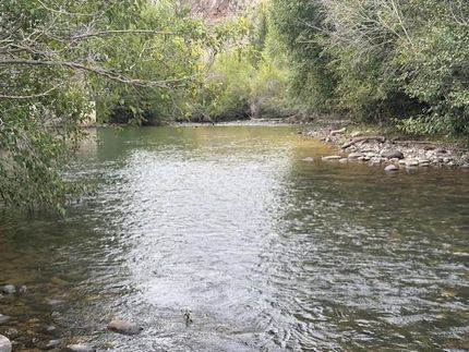 Riverfront Property for sale in Alamosa County, Colorado