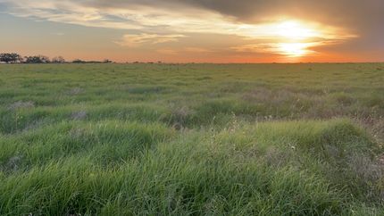 Undeveloped Land for sale in Throckmorton County, Texas