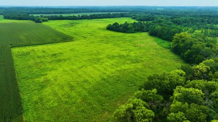 Undeveloped Land for sale in Daviess County, Missouri