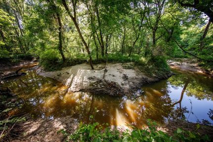 Undeveloped Land in Wood County, Texas