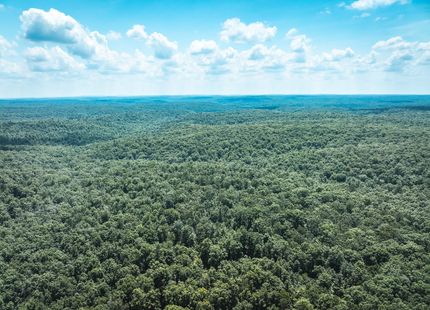 Farm and Ranch for sale in Reynolds County, Missouri