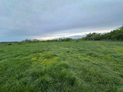 Farm and Ranch for sale in Nolan County, Texas