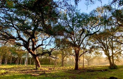 Commercial Property for sale in Fort Bend County, Texas