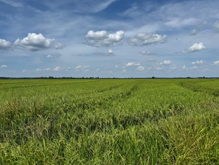 Farm and Ranch for sale in Monroe County, Arkansas