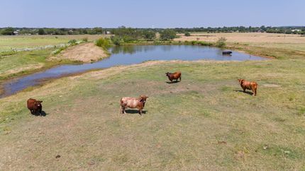 Land for sale in Hill County, Texas