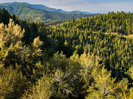 Undeveloped Land for sale in Carbon County, Utah