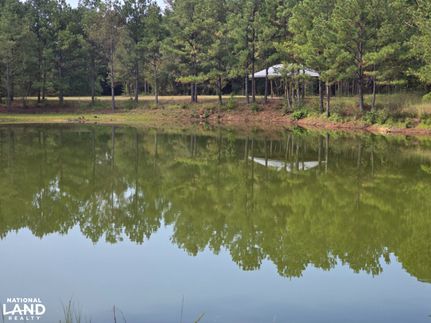 Land for sale in Hale County, Alabama