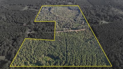 Hunting Property for sale in Union Parish, Louisiana