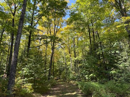 Recreational Property for sale in Langlade County, Wisconsin