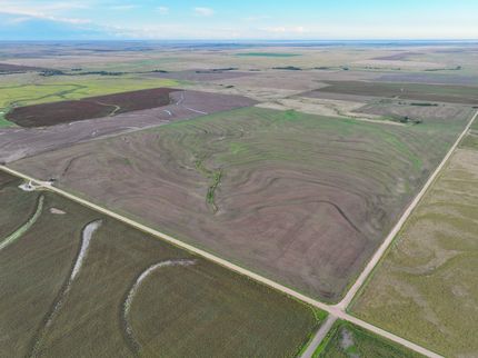 Land for sale in Ness County, Kansas