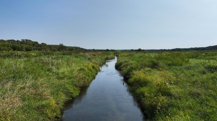 Farm and Ranch for sale in Green County, Wisconsin