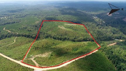 Land for sale in Lauderdale County, Alabama