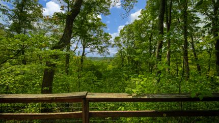 Land for sale in Adams County, Ohio