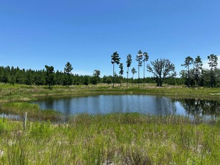 Land for sale in Calhoun County, Florida