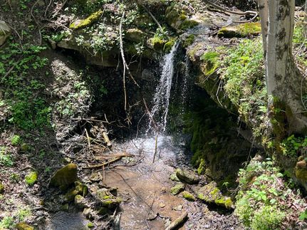 Undeveloped Land for sale in Allegheny County, Pennsylvania