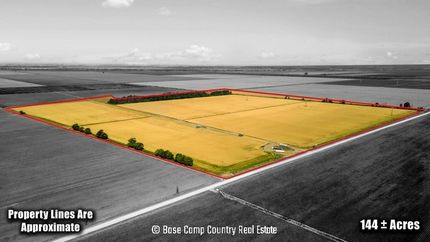 Undeveloped Land in New Madrid County, Missouri