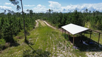 Hunting Property for sale in Bay County, Florida