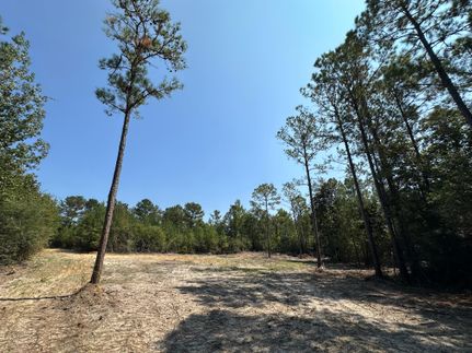 Timberland Property for sale in Clarke County, Alabama