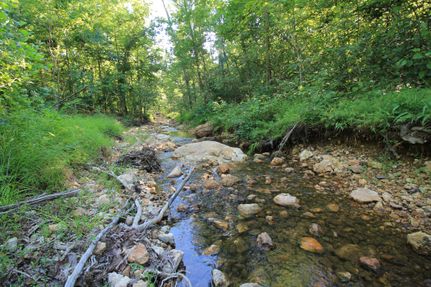 Farm and Ranch for sale in Madison County, Missouri