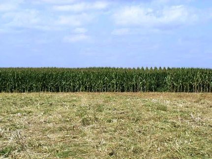 Land for sale in Furnas County, Nebraska