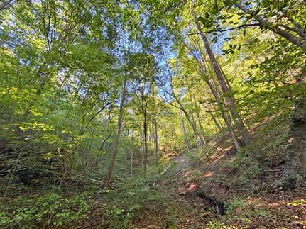 Land for sale in Wayne County, West Virginia