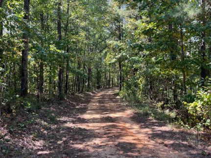 Farm and Ranch for sale in Elmore County, Alabama