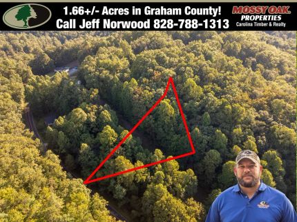 Farm and Ranch for sale in Graham County, North Carolina