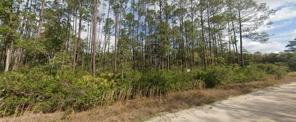Undeveloped Land in Putnam County, Florida