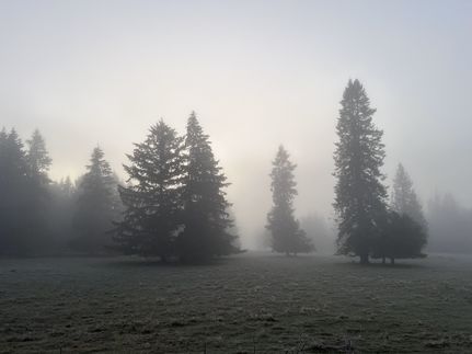 Farm and Ranch for sale in Thurston County, Washington