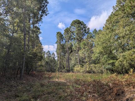 Recreational Property for sale in Aiken County, South Carolina