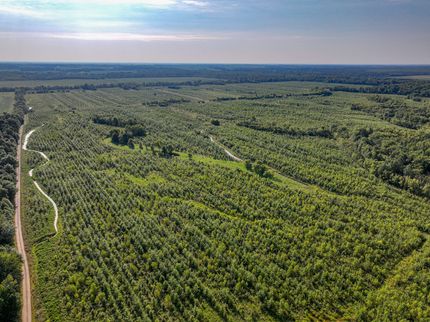 Timberland Property for sale in Clay County, Illinois