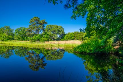 Land for sale in Cass County, Texas