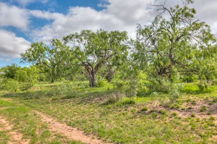 Recreational Property for sale in Coke County, Texas
