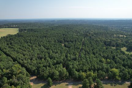 Undeveloped Land for sale in Anderson County, Texas