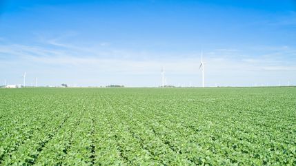 Farm and Ranch for sale in Obrien County, Iowa