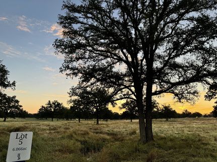 Undeveloped Land for sale in Gillespie County, Texas