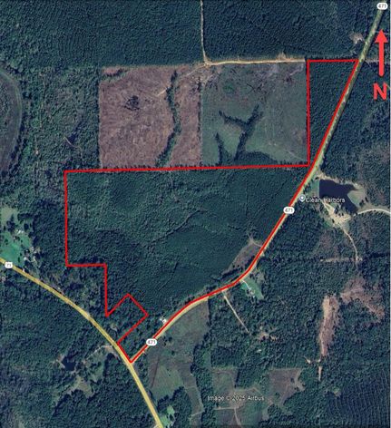 Land for sale in Grant Parish, Louisiana