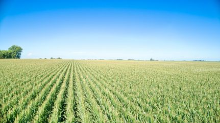 Land for sale in Clay County, Iowa