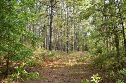 Land for sale in Nacogdoches County, Texas