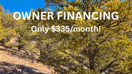 Undeveloped Land in Costilla County, Colorado