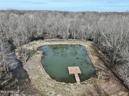 Lakefront Property for sale in Humphreys County, Mississippi
