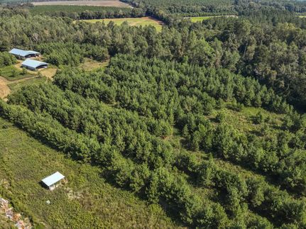 Timberland Property for sale in Macon County, Georgia